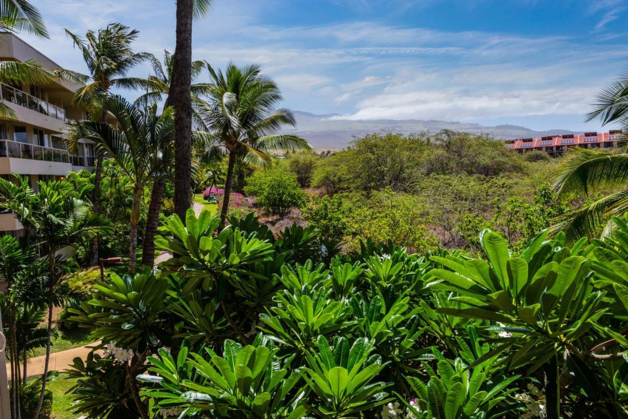 Maui Banyan H311 1Bd 2Ba 3 Min Walk To The Beach In The Heart Of South Kihei! Wailea  Esterno foto