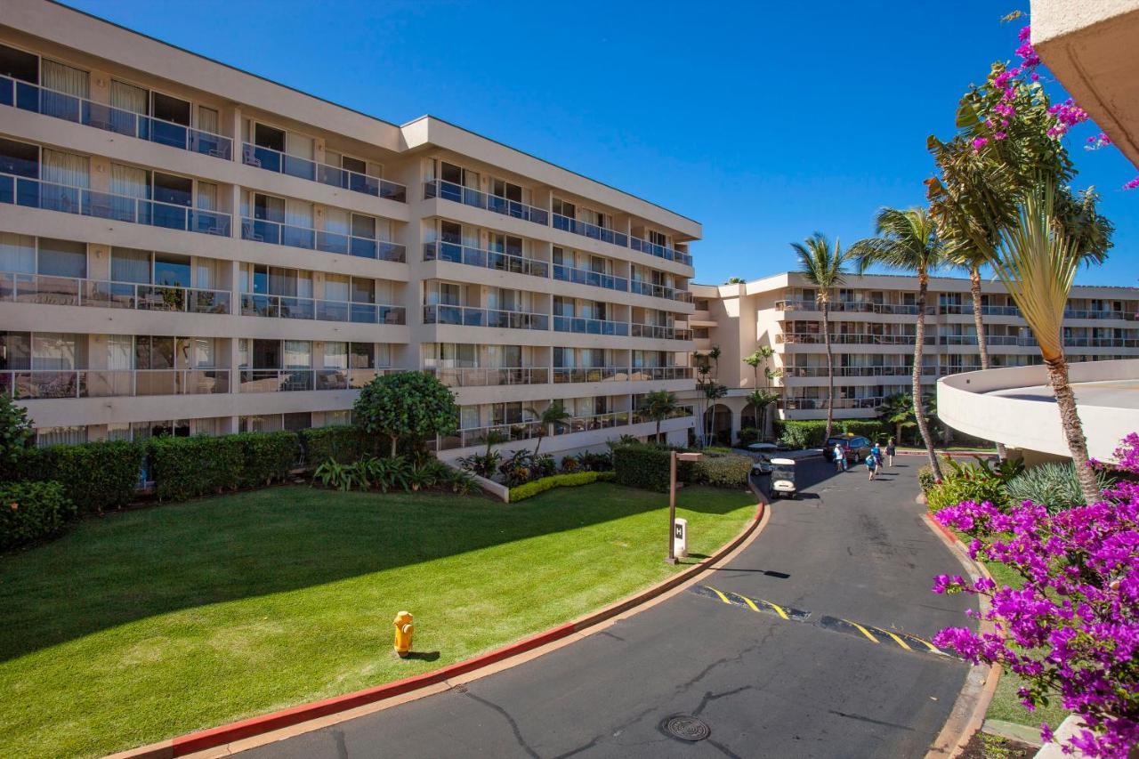 Maui Banyan H311 1Bd 2Ba 3 Min Walk To The Beach In The Heart Of South Kihei! Wailea  Esterno foto