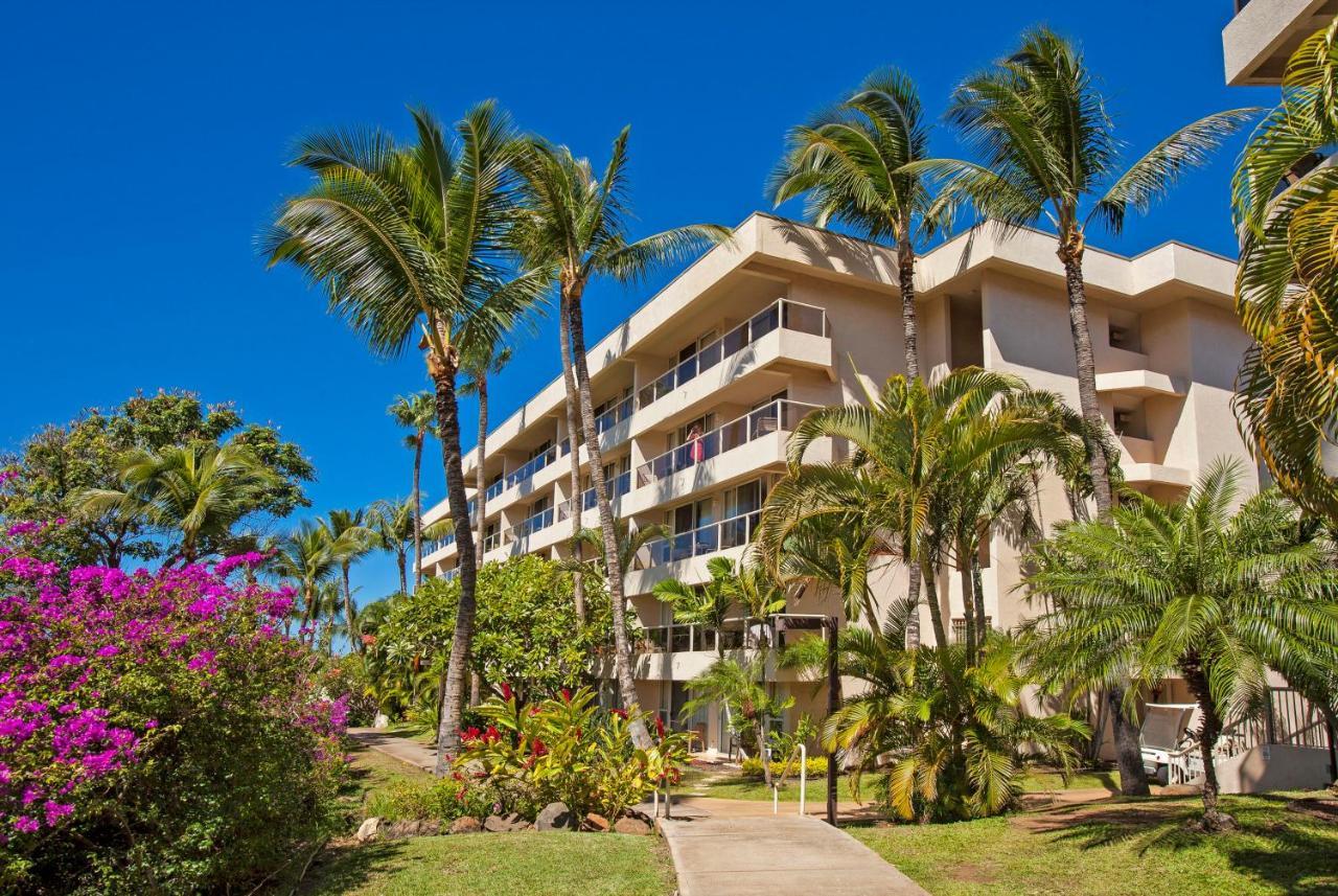 Maui Banyan H311 1Bd 2Ba 3 Min Walk To The Beach In The Heart Of South Kihei! Wailea  Esterno foto